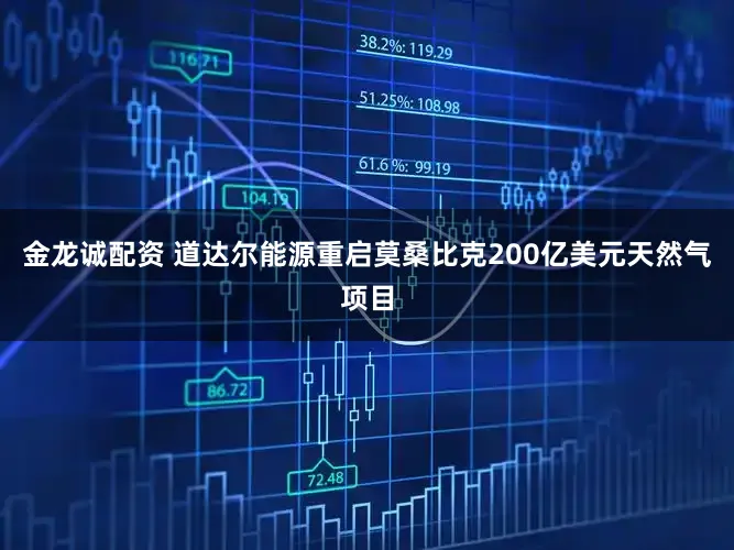 金龙诚配资 道达尔能源重启莫桑比克200亿美元天然气项目