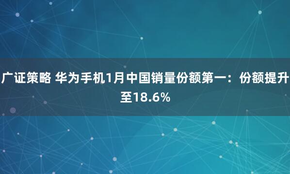 广证策略 华为手机1月中国销量份额第一：份额提升至18.6%