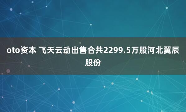oto资本 飞天云动出售合共2299.5万股河北翼辰股份