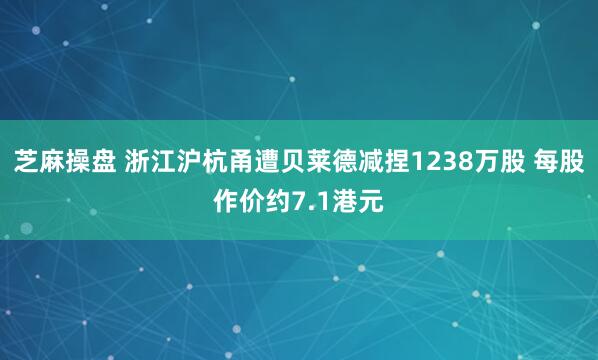 芝麻操盘 浙江沪杭甬遭贝莱德减捏1238万股 每股作价约7.1港元