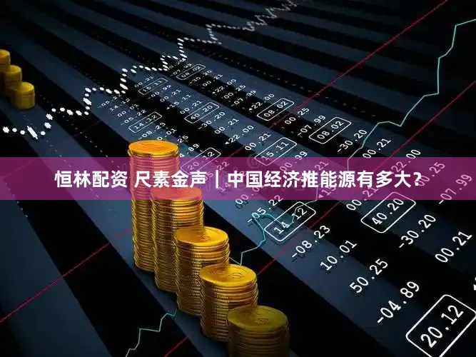 恒林配资 尺素金声｜中国经济推能源有多大？
