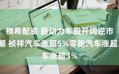楠希配资 新动力车股开阔逆市高潮 祯祥汽车涨超5%零跑汽车涨超3%