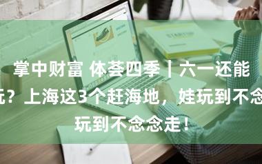 掌中财富 体荟四季｜六一还能这么玩？上海这3个赶海地，娃玩到不念念走！